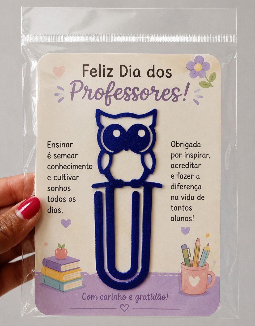 Kit Saquinho Card Personalizado Marca Pagina Coruja 3D